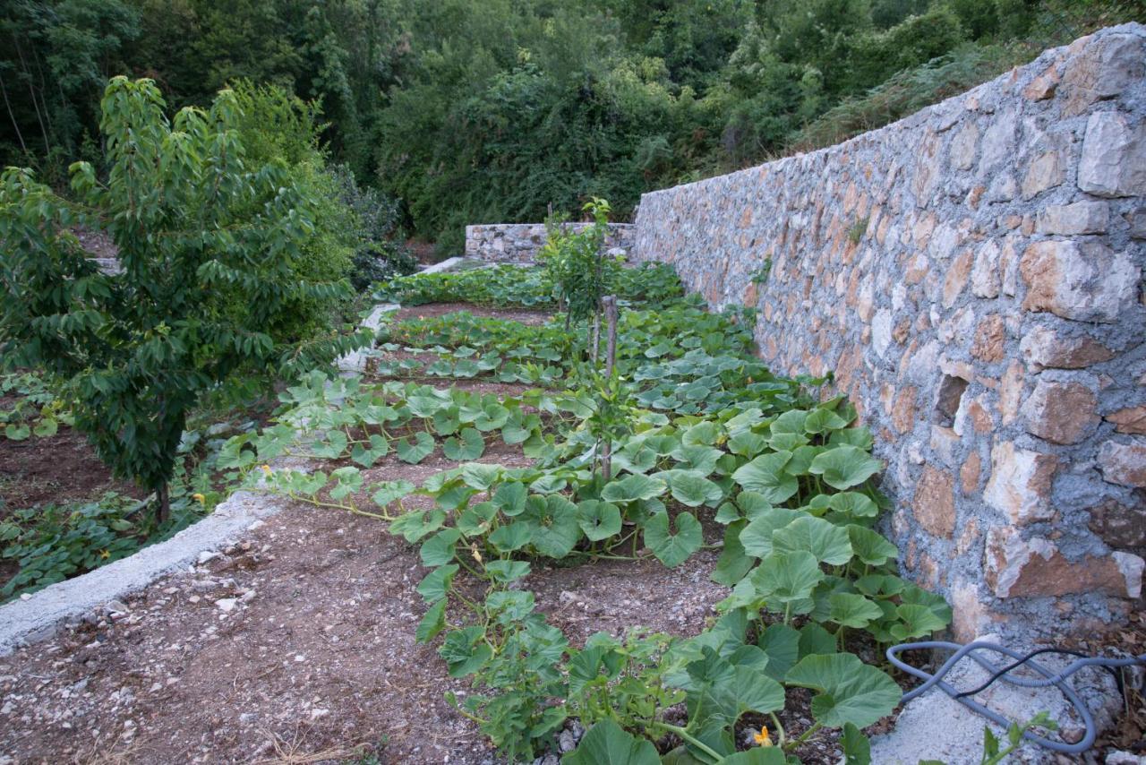 Village House Dunja Virpazar Exterior photo